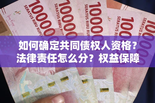 济南如何确定共同债权人资格？法律责任怎么分？权益保障技巧揭秘！