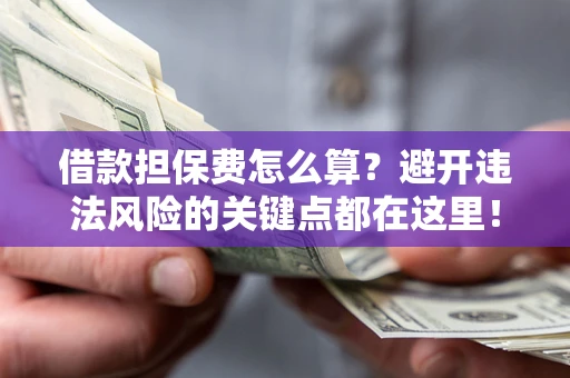 济南借款担保费怎么算？避开违法风险的关键点都在这里！