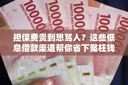 济南担保费贵到想骂人？这些低息借款渠道帮你省下冤枉钱