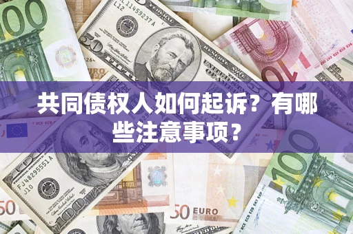 济南共同债权人如何起诉？有哪些注意事项？
